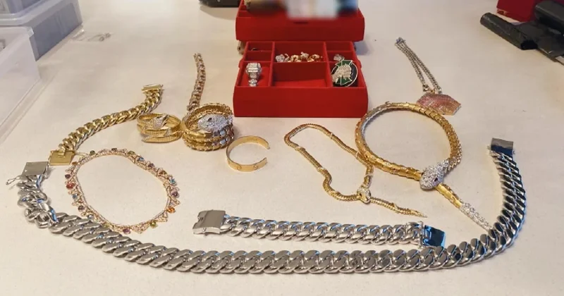 Interpol’Un aradığı ‘Balina’ İstanbul’da yakalandı