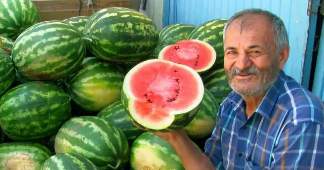 Araban Ovası nda ikinci ürün güz karpuzu hasadı devam ediyor Gaziantep Son Dakika Haberleri Habertürk Yerel Haberler