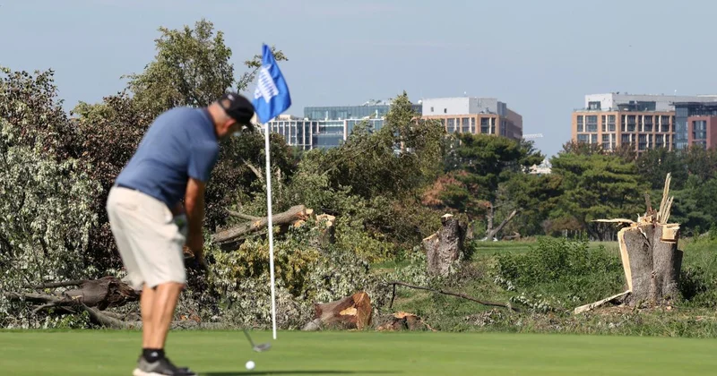 ABD de yargıç, Trump yönetiminin Washington daki golf sahasında yaptığı ağaç kesimini durdurdu