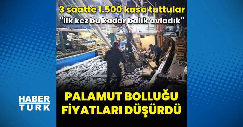 1 kiloluk palamut 40 liraya düştü: Üç saatte 1.500 kasa tuttular