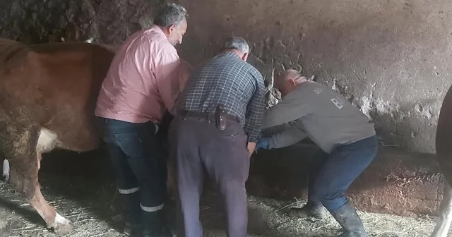Aydıntepe de yavru atık bildirimi üzerine saha çalışması yapıldı Bayburt Haber Habertürk Yerel Haberler