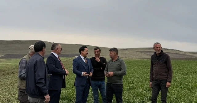 Akyaka Kaymakamı Demirtaş, şeker pancarı hasadına katıldı Kars Haberleri Habertürk Yerel Haberler