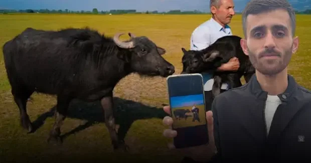 Tokat haberleri Dünya ikincisi oldu! 10 bin dolarlık ödül sevinci kursağında kaldı 15 Kasım 2025