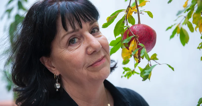 Köklere Yolculuk: İpliklerin izinde, geçmişin peşinde Agos