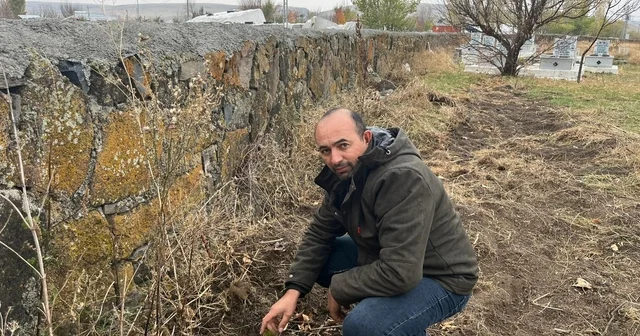 Kars ta muhtardan örnek davranış: Kayaköprü köyünde fidanlar toprakla buluştu Kars Haberleri