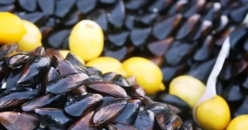 İstanbul İl Sağlık Müdürü Güner’den gıda zehirlenmesi açıklaması