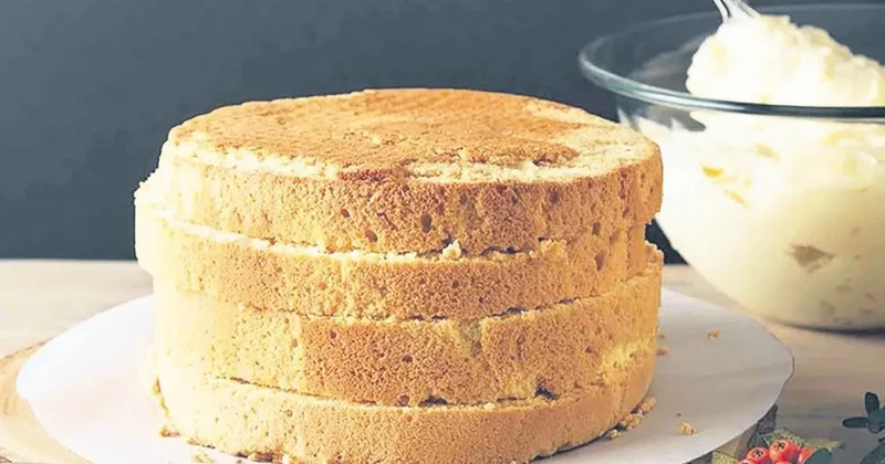 İDİL AÇIKALIN Pandispanyanın ABC’si