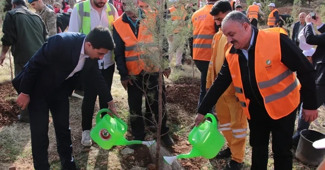 DEPSAŞ Enerji den Makam Dağı na 3 bin fidanlık yeşil dokunuş Diyarbakır Haberleri