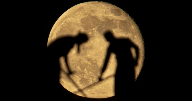 Ay ın içinde ne var?