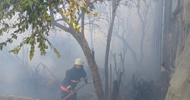 Bozyazı da çıkan yangın seralara zarar verdi Mersin Haberleri