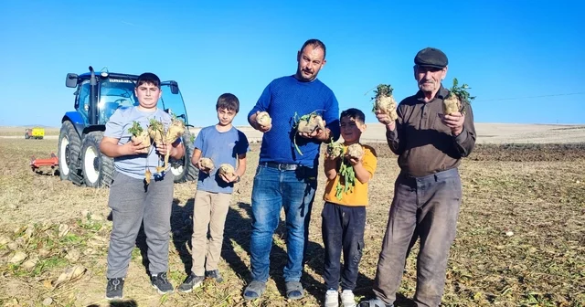 Yozgat ta pancar mesaisi sürüyor, 6 aylık emeğin ürünleri yüzleri güldürüyor Yozgat Haberleri