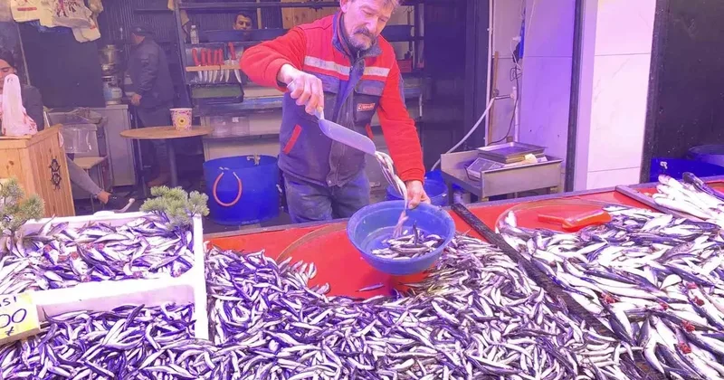 Denizlerde bollaşan hamsi tezgahlarda 100 TL’ye yer buldu