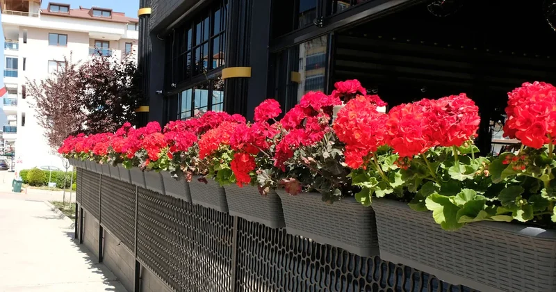 Türkiye den 80 ülkeye gidiyor: Dünya bu ürünü kasa kasa bizden alıyor Sözcü Gazetesi