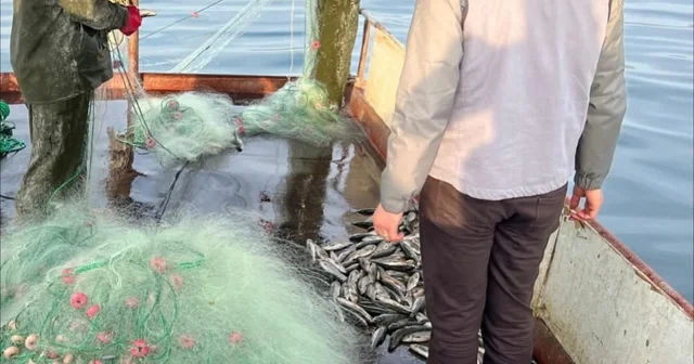 Van Gölü nde balıkçılık denetimi yapıldı Bitlis Haberleri