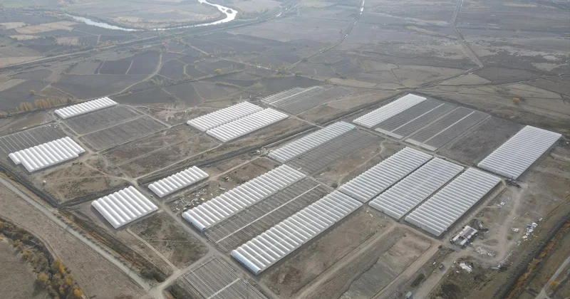 Doğu Anadolu nun en büyük toplu sera alanı kuruluyor