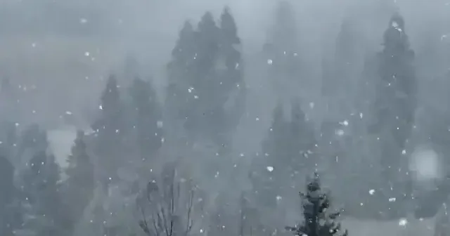 Zigana Dağı beyaza büründü: Doğu Karadeniz’in yükseklerinde kar etkili oldu VİDEO İZLE