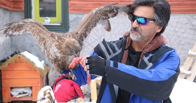 Tedavi edip doğaya bıraktığı kızıl şahin, aylar sonra geri döndü Hakkari Haberleri