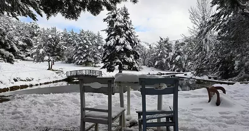 Gümüşhane de Kent Ormanı, kar yağışıyla beyaza büründü
