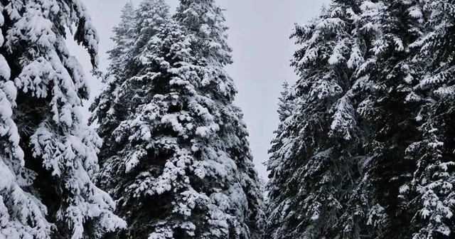 Meteorolojinin uyardığı Çankırı da kar yağışı etkili oldu Çankırı Haberleri