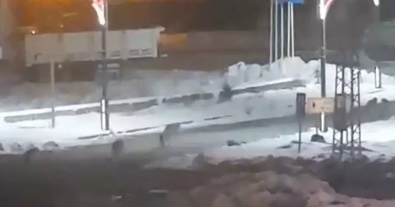 Kurtlar sokaklara indi, vatandaşlar korku dolu anlar yaşadı