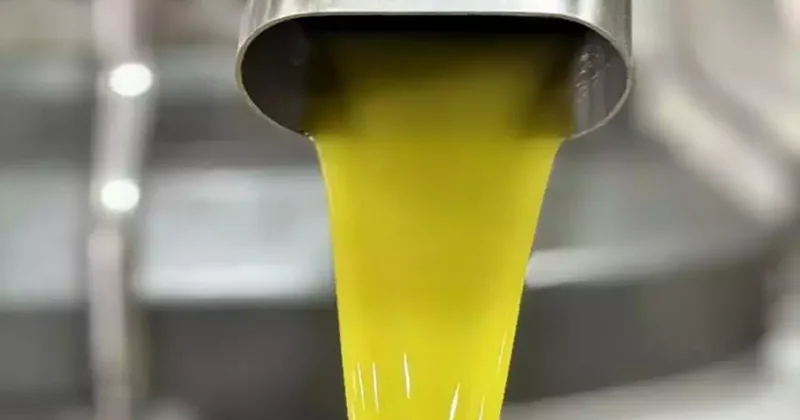 Muhtara kalan miras köylüye istihdam sağladı