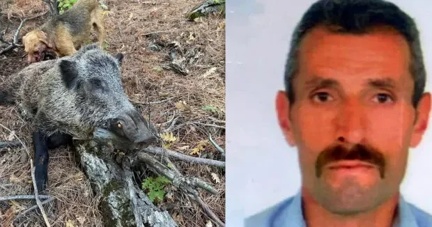 Erzincan haberleri Erzincan da domuz saldırısı: 1 ölü! 15 Aralık 2025