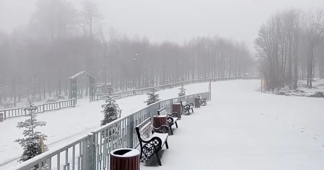 Kuzuyayla Tabiat Parkı beyaza büründü Kocaeli Haberleri