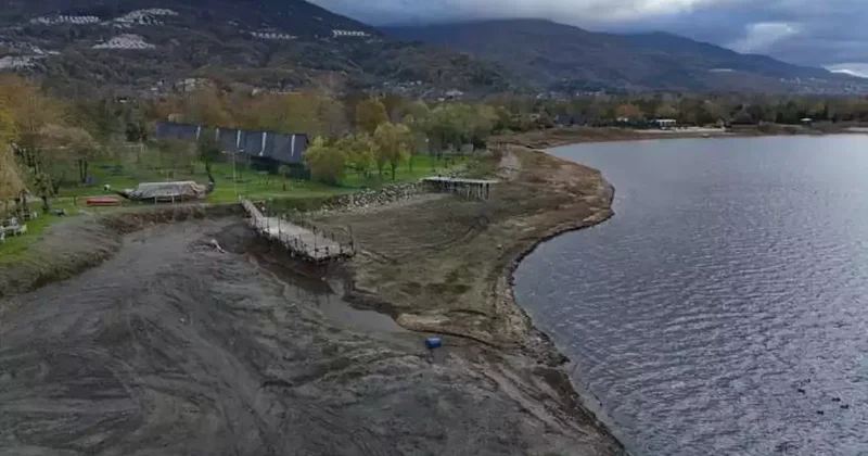 Can damarı kuruyor! Doğu Marmara nın kalbiydi...