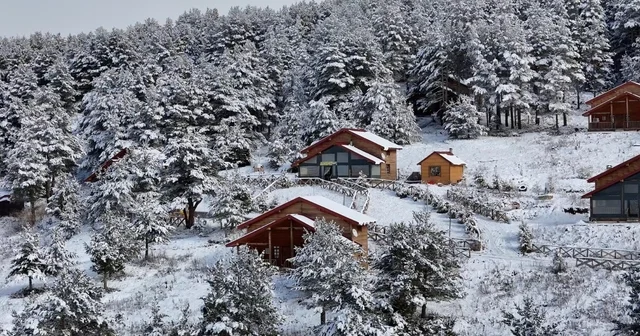 Dumanlı Tabiat Parkı nda kış manzarası Erzincan Haberleri