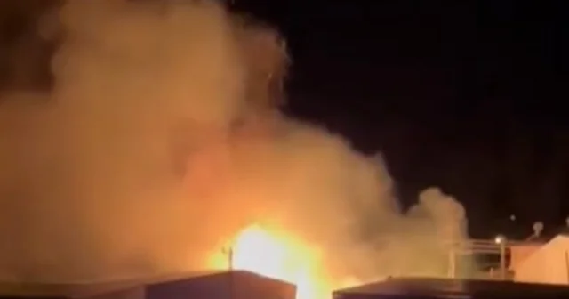 Mersin de sazlık alandaki yangın söndürüldü: Bir sera zarar gördü Mersin Haberleri