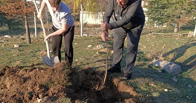 Sandıklılı yarenler badem fidan dikti Afyonkarahisar Haberleri