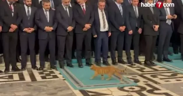 Bakan Memişoğlu ve ekibini gülümseten davetsiz misafir kamerada