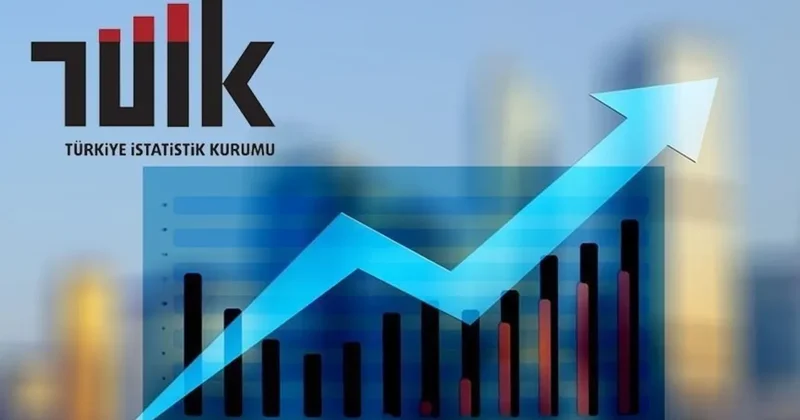 TÜİK çalışanlarından uluslararası başarı