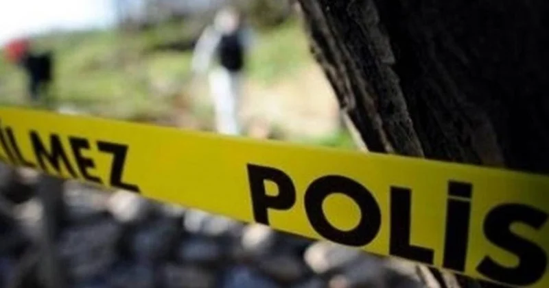 Erzincan da avcı domuz saldırısında hayatını kaybetti