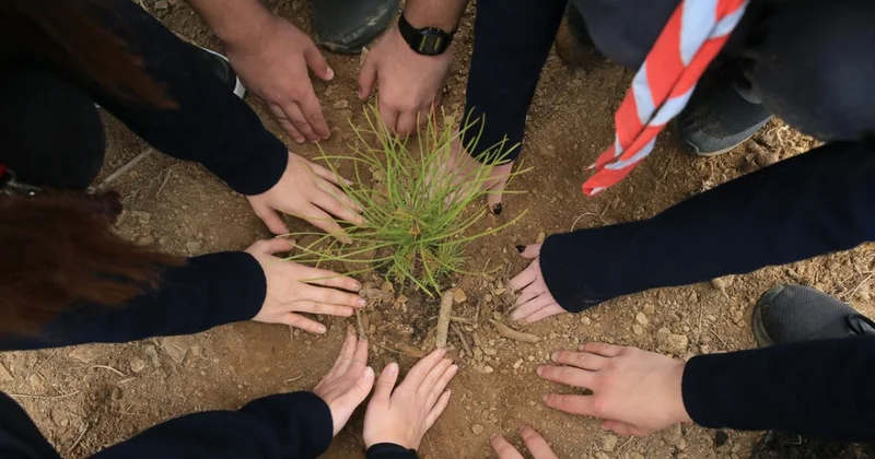 Orman Genel Müdürlüğü, bugüne kadar Ankara da 320 okula fidan dikti