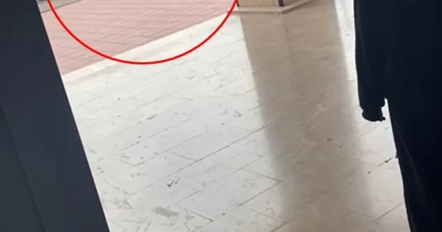 Okul müdürünün, öğrenciyi yakasından tutup yere savurduğu görüntülere inceleme Bursa Haberleri