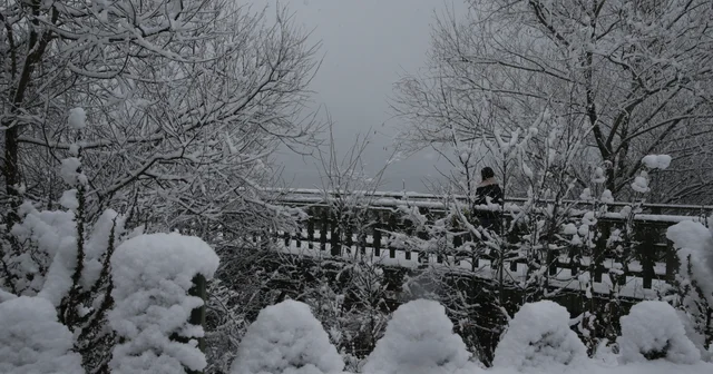 Kocaeli, Karabük ve Bolu da kar yağışı etkili oluyor Kocaeli Haberleri