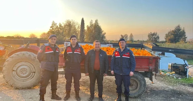 Nazilli de 1,5 tonluk portakal hırsızlığı jandarmaya takıldı Aydın Haberleri