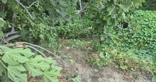 Fethiye de kazada yaralanan genç, 123 günlük hayat mücadelesini kaybetti Muğla Haberleri