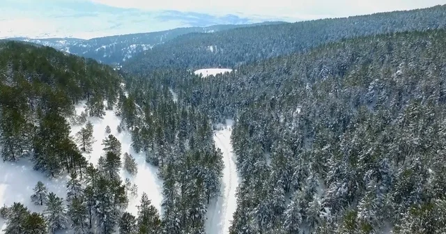 Erzincan ın doğa harikası Dumanlı beyaza büründü Erzincan Haberleri