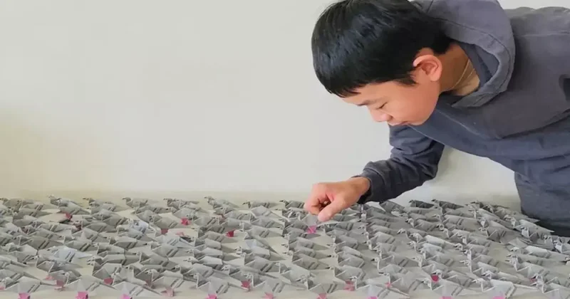 Kağıttan yaptı! 4 bin fil taşıyan bir taksiye denk!