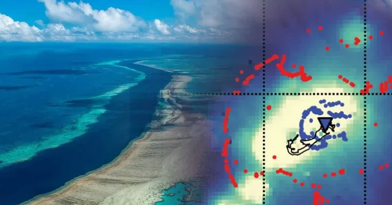 Anahtar, okyanusun 50 km derinliğinde yatıyor! Tüm beklentileri alt üst edecek Sözcü Gazetesi