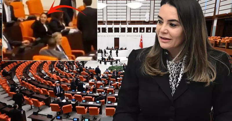 Türkeş in kızının Öcalan için söyledikleri Meclis i karıştırdı