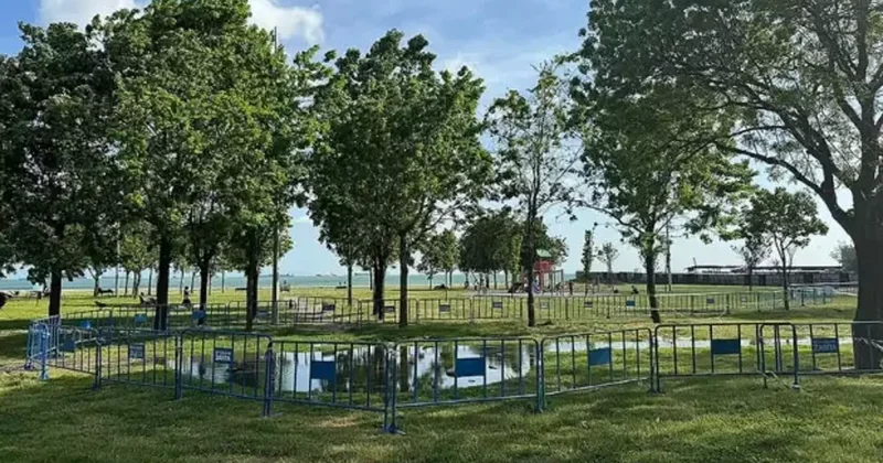 Minik Edanur un ölümüne ilişkin davada istenen ceza belli oldu