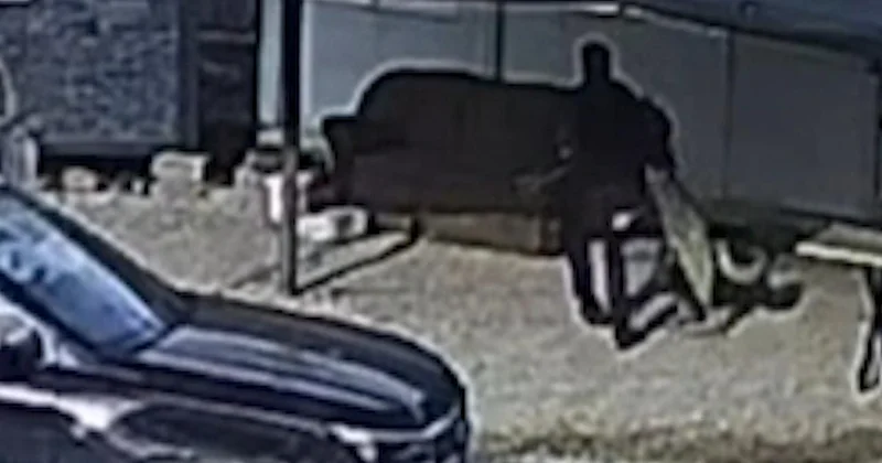 Beslediği köpek saldırdı