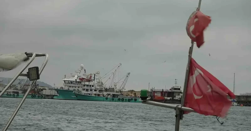 Türkiye’yi terk eden hamsinin yolu gözleniyor