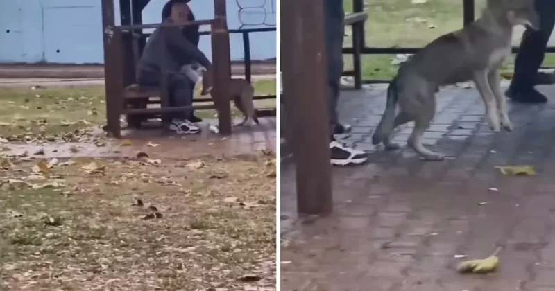 Adana da kaydedilen görüntü Yok artık dedirtti