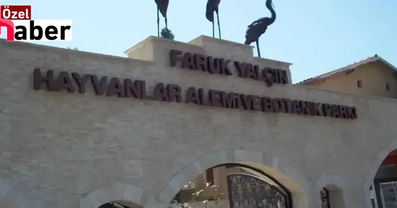 Darıca Hayvanat Bahçesi kapandı: 33 yıllık tesis miras kavgasına yenildi