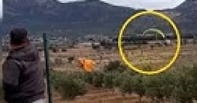 İşçileri kırmadı, uçarak geldi!