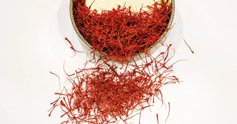 Safranda ‘at kılı’ tuzağı